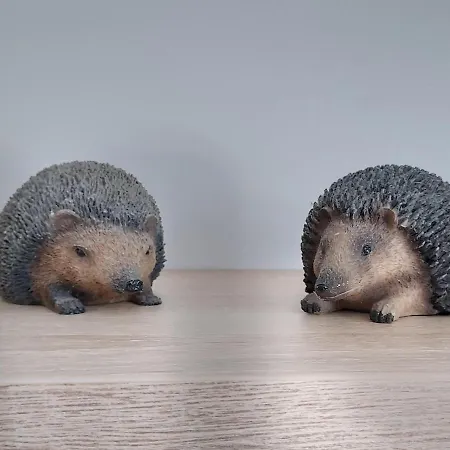 公寓 Sun&fun - 罗威