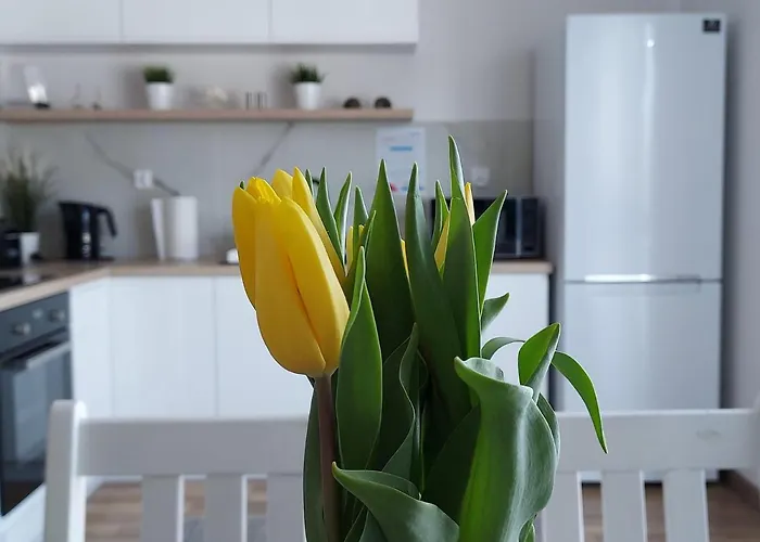 Sun&fun - Rowy (Pomerania)